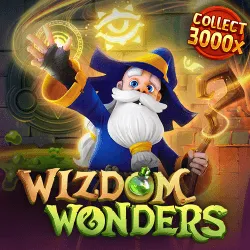 Wizdom Wonders